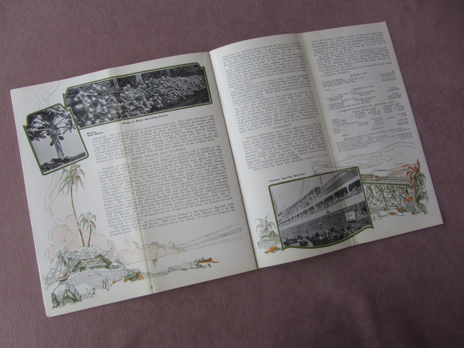 Vtg 1928 Hawaii Travel Guide Booklet Year Round Playground Photos Map Art