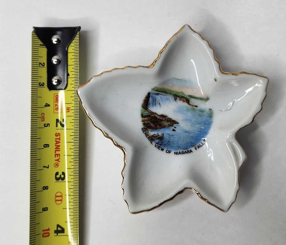 Vintage Niagara Falls Souvenir Leaf Dish – General View – Made in Japan [READ]