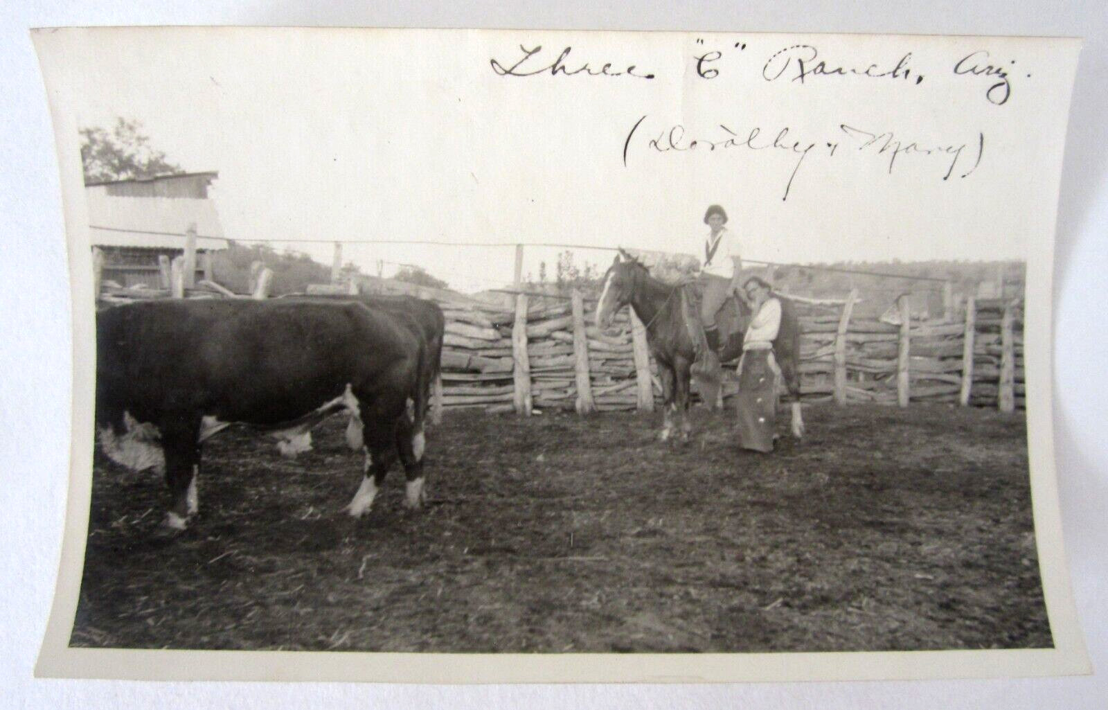 Antique Cowgirls Tucson Arizona Photos 3C Dude Ranch Horses Cattle 1910-20s