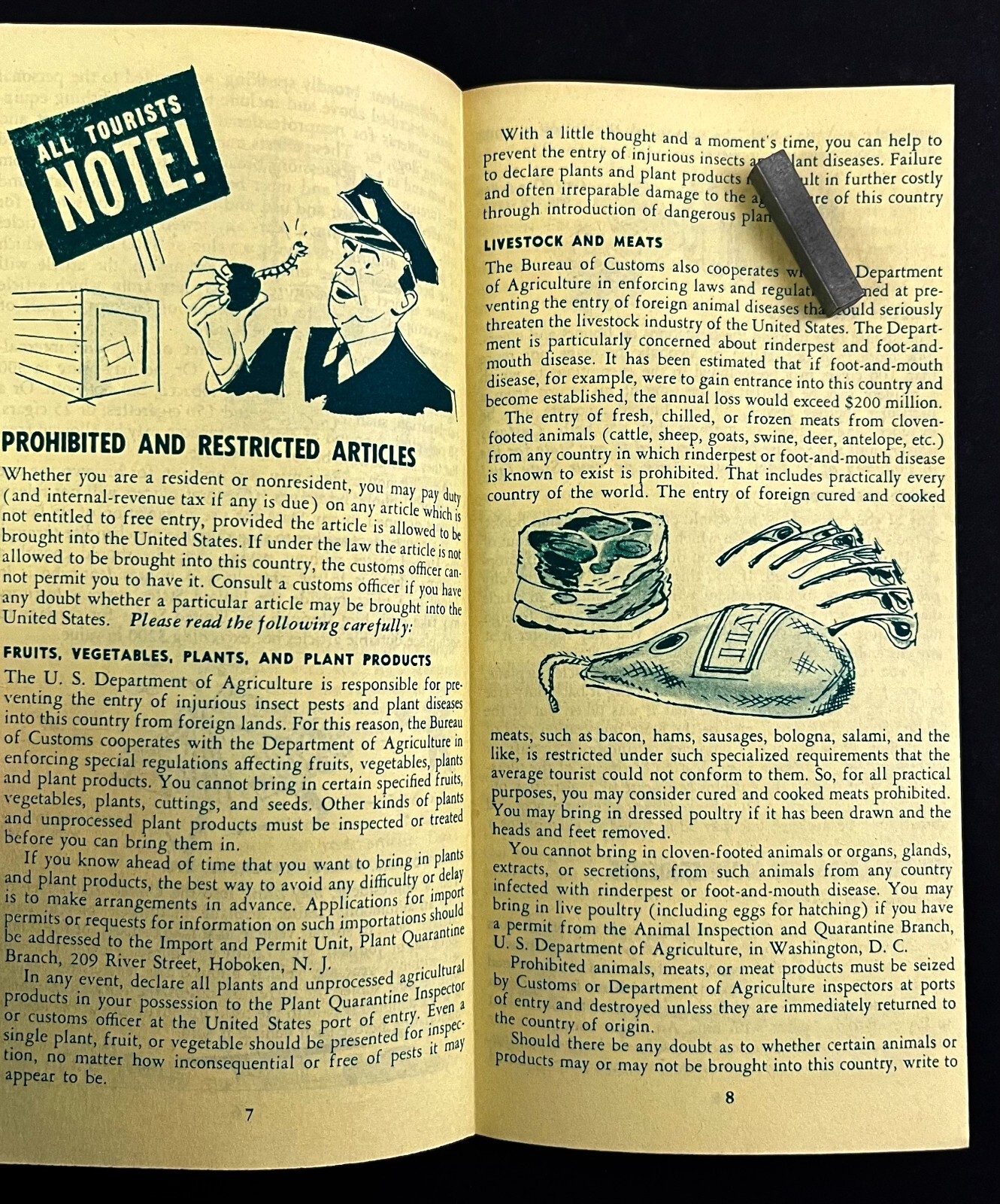 1954 US Customs Hints Entering United States Immigrants Vintage Travel Brochure