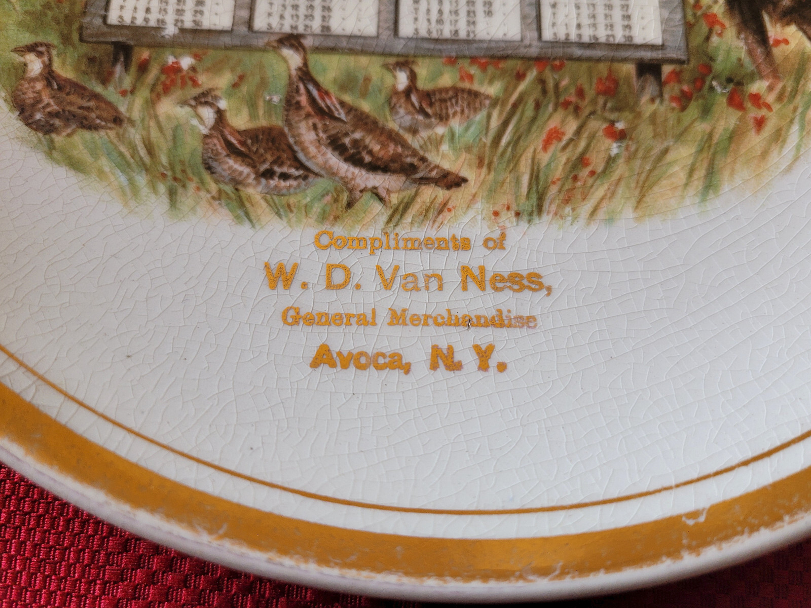 RARE 1911 *AVOCA, NY* Souvenir CALENDAR PLATE W. D. Van Ness General Merchandise