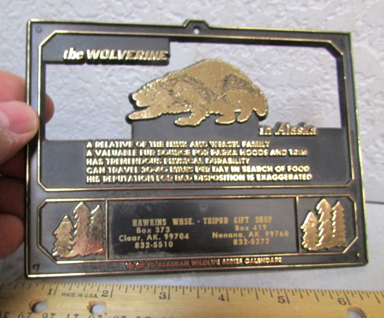 vintage Plastic Alaska Calendar back plate, Wolverine, #10 of 10, Nenana Alaska
