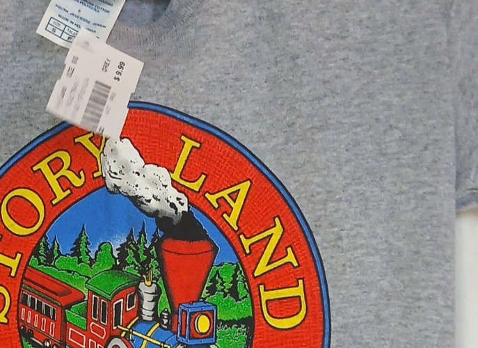 STORY LAND New Hampshire KIDS small T-Shirt White Mountains NH Gray S Child Tee