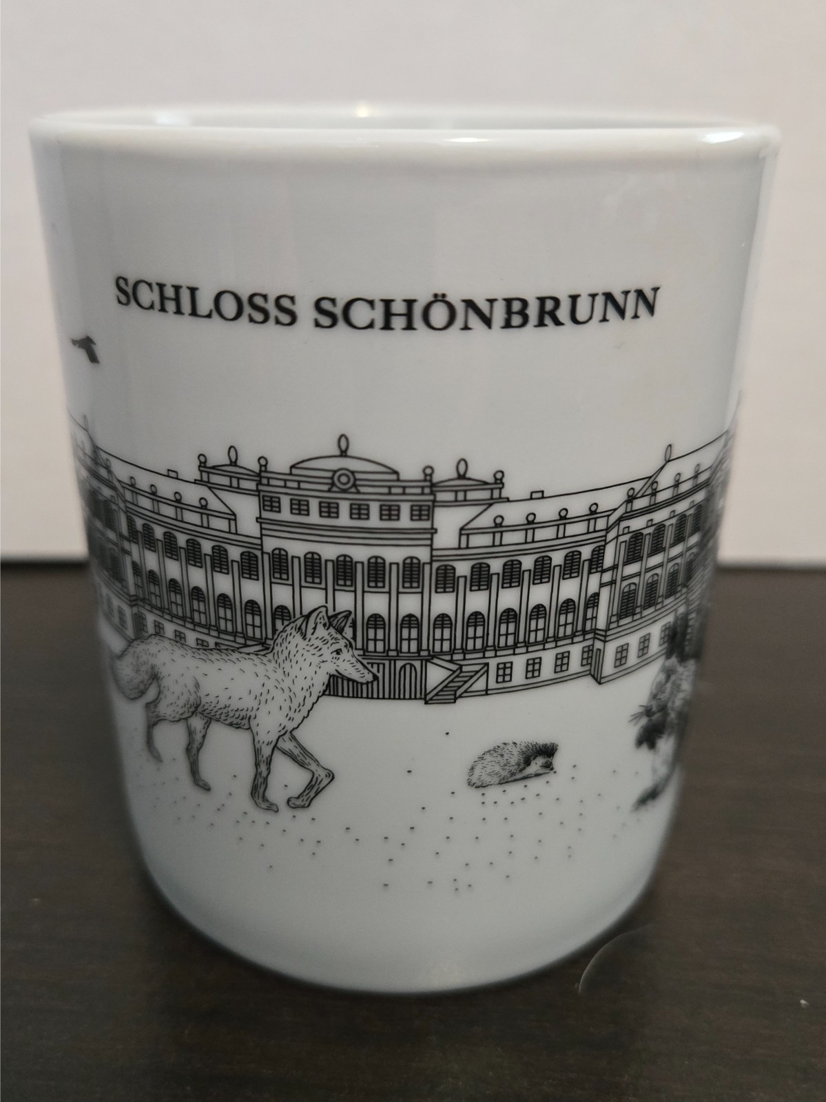 Schloss Schonbrunn Palace, Vienna, Austria Souvenir Coffee Mug Maser