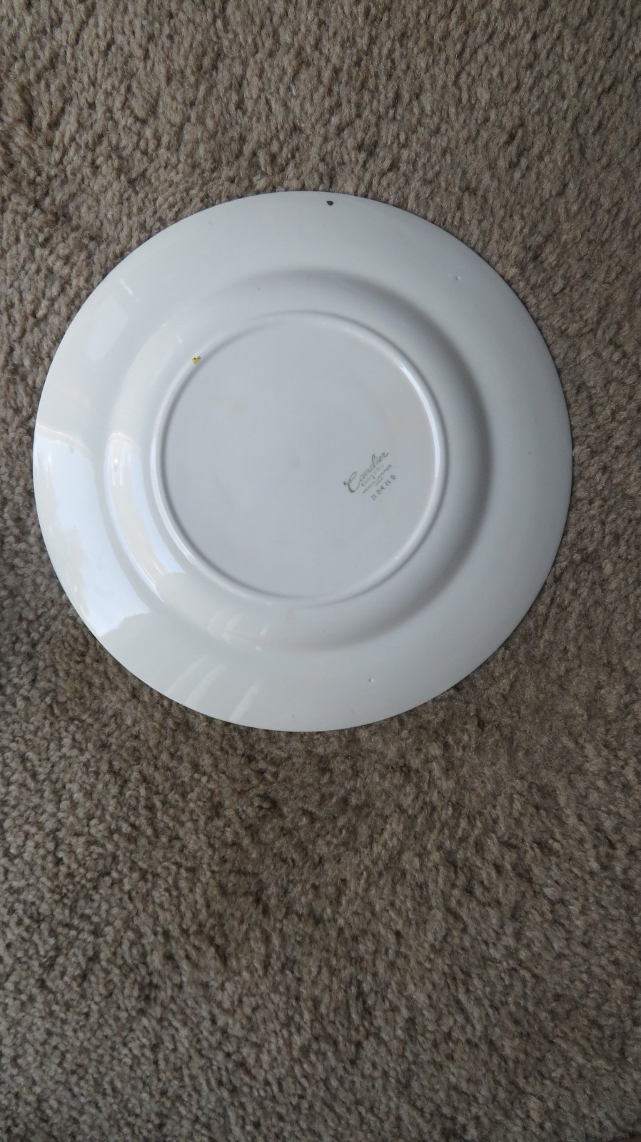 Vintage Ceramic Souvenir Minnesota Plate 10″ GUC