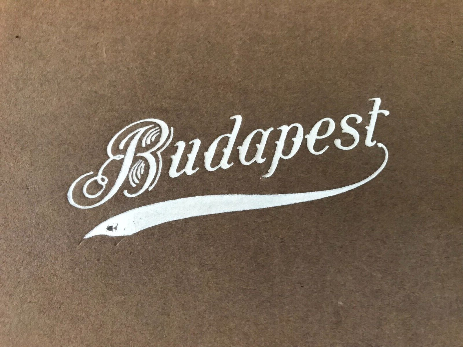 Vintage Budapest Photo Book Hungary City Scenes Parliament Panoramic