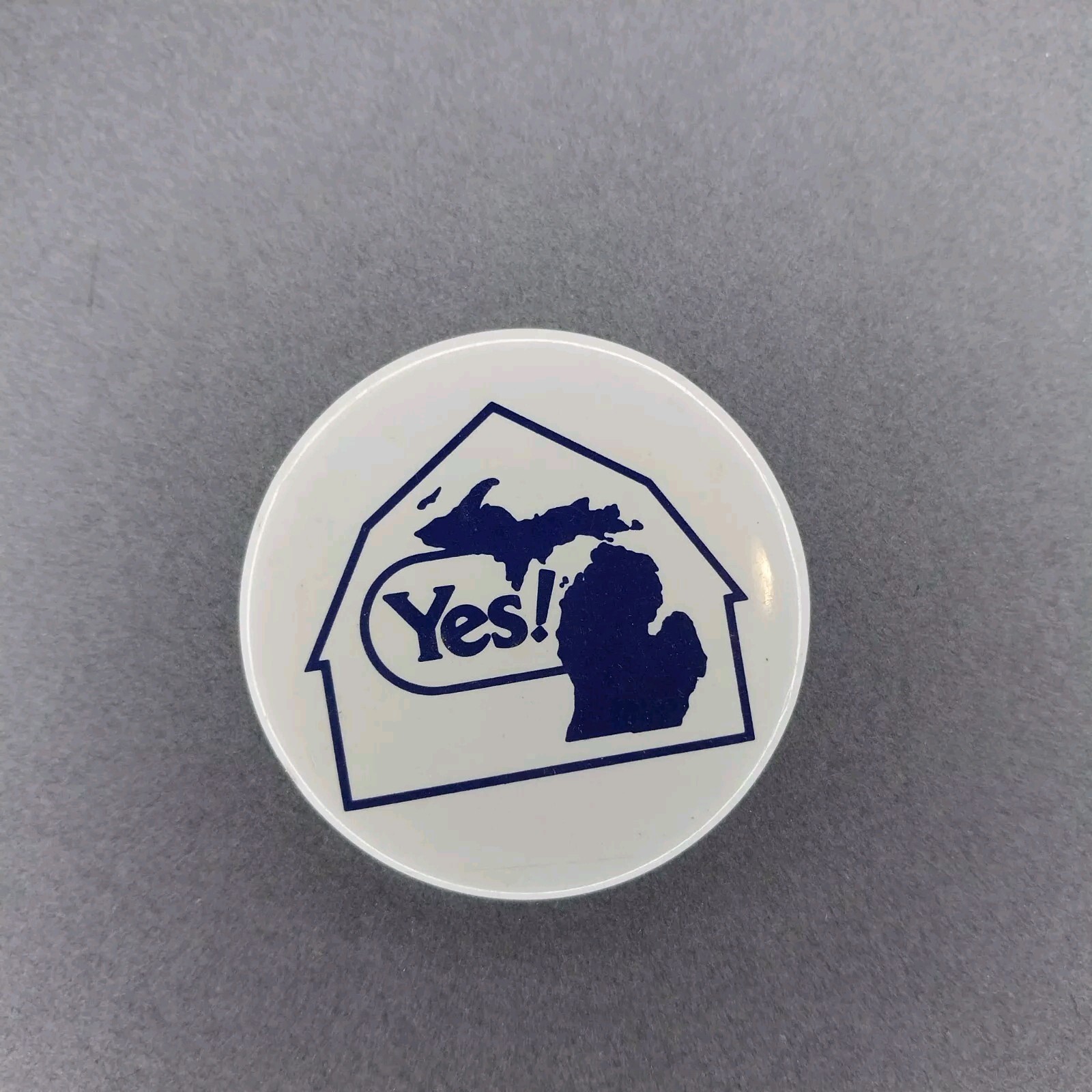 YES! BLUE WHITE Michigan MI Button Pinback 2″