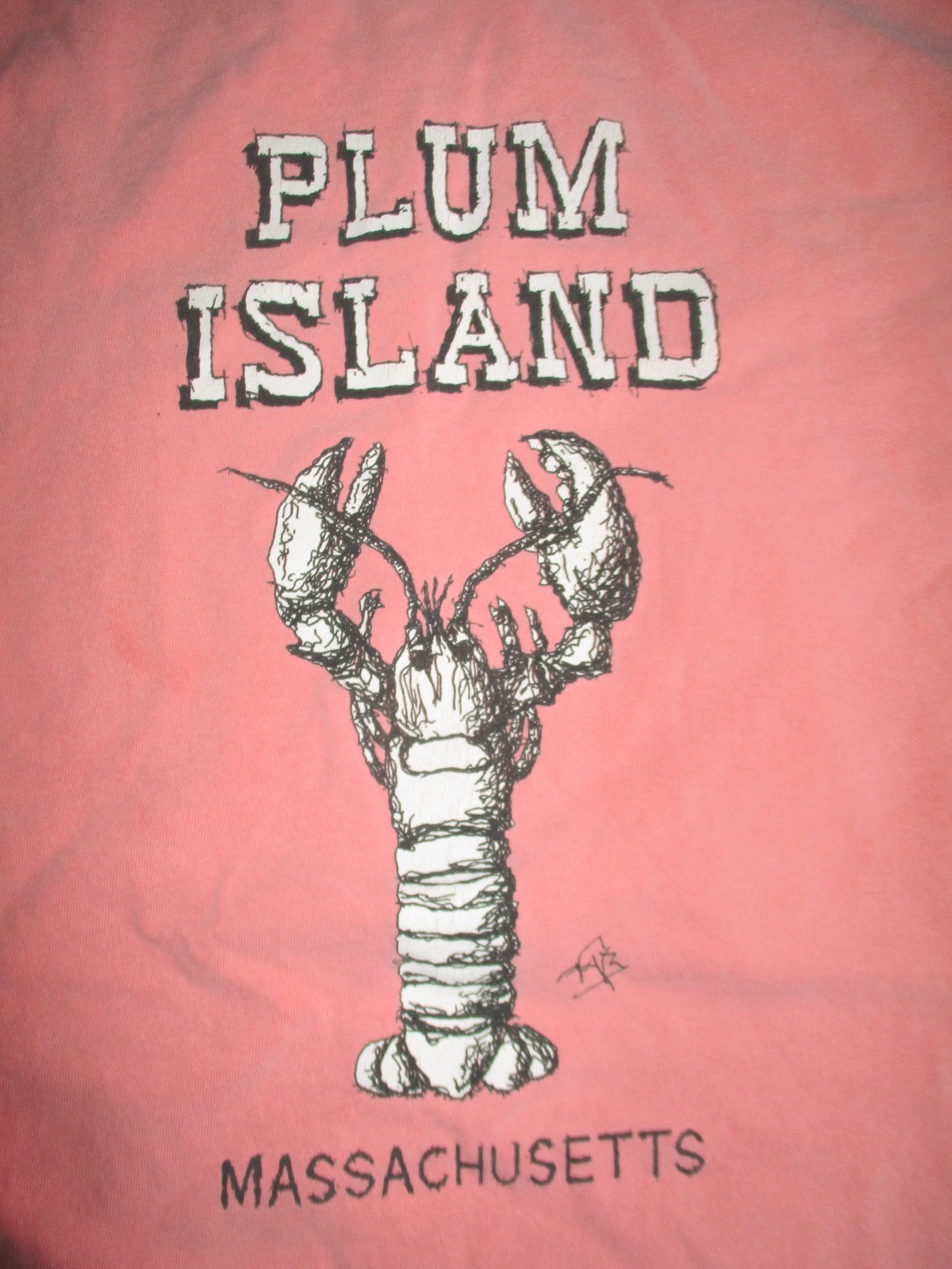 Vintage Comfort Colors Label – PLUM ISLAND – MASSACHUSETTS (LG) T-Shirt LOBSTER