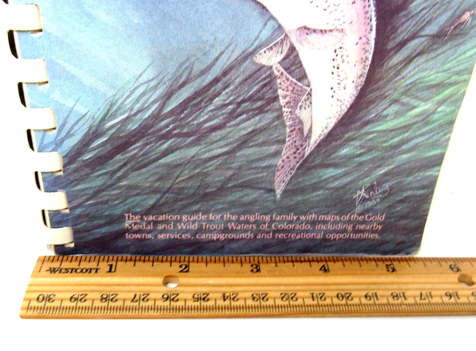 The Colorado Angling Guide Book Stream Stalker 1st Edition 1985 20 Fold Out Maps