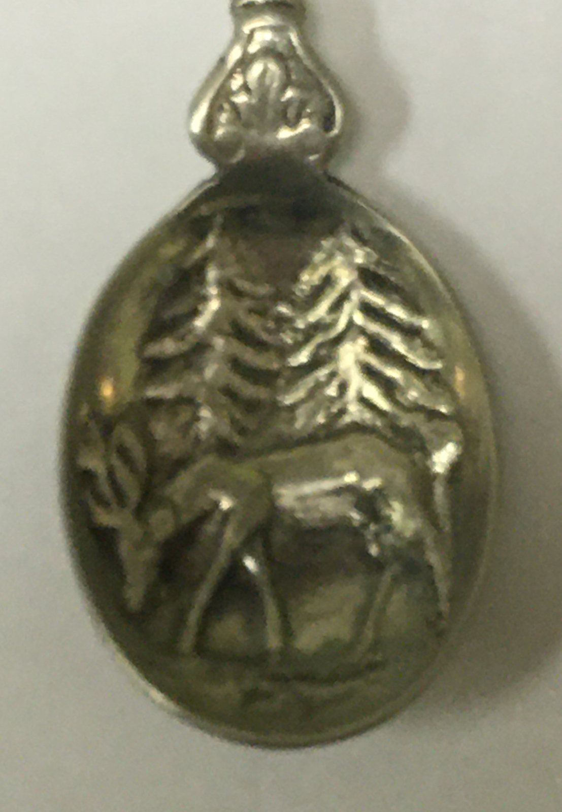 Vintage Souvenir Spoon US Collectible State Of Colorado 1876