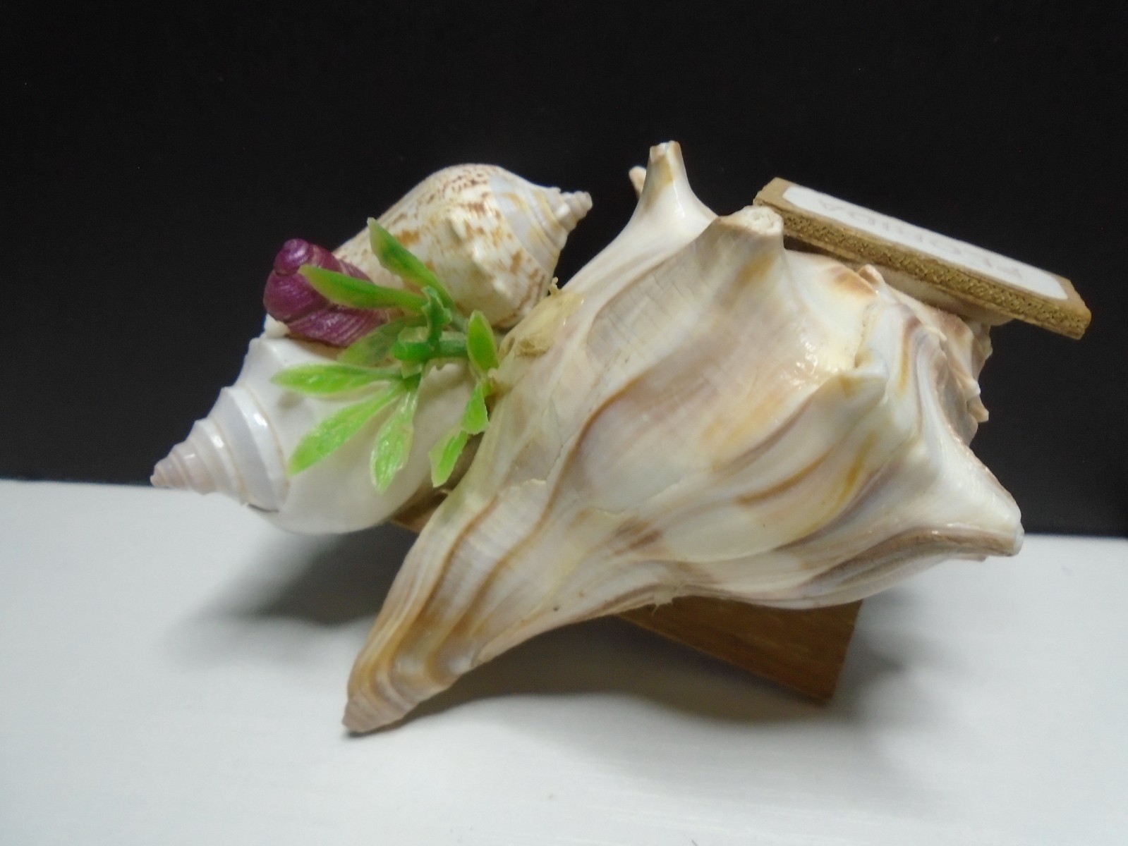 HANDMADE SEA SHELL FLORIDA 2″ X 3.5″ FIGURE UNBRANDED (SF277)