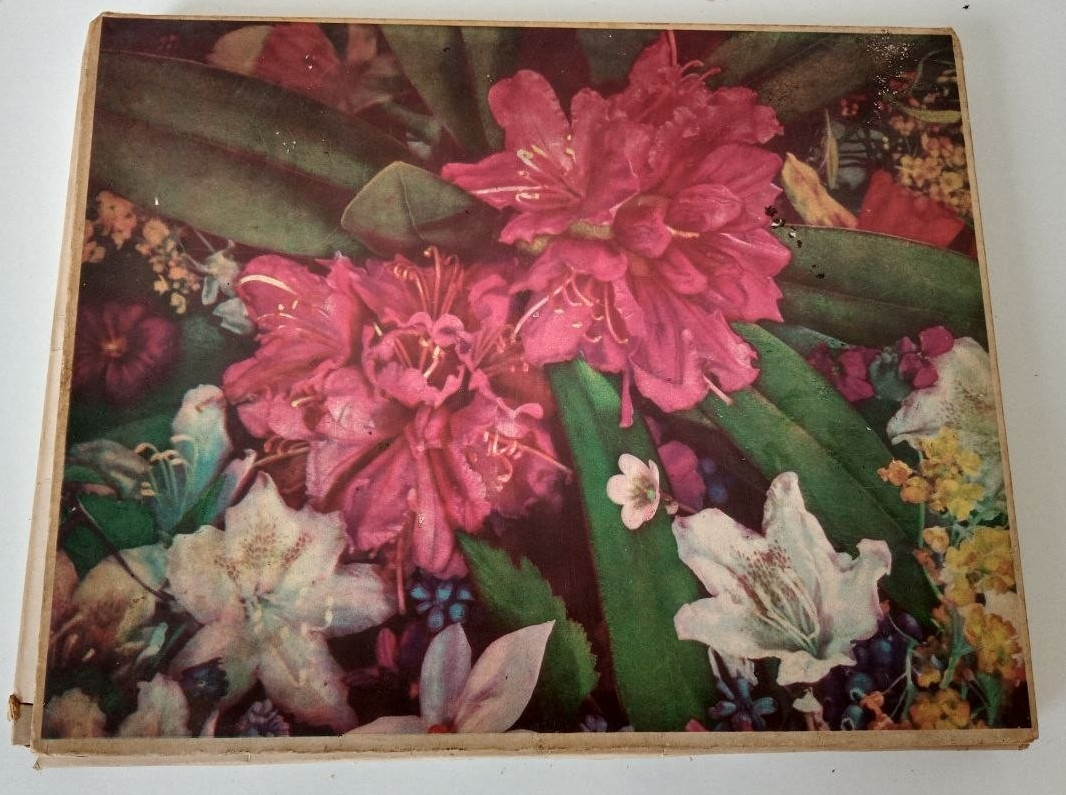 Souvenir Matchboxes, 28 pieces, “Botanical Garden” USSR