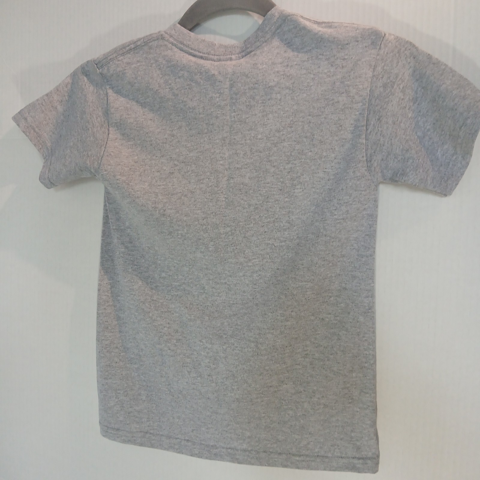 STORY LAND New Hampshire KIDS small T-Shirt White Mountains NH Gray S Child Tee