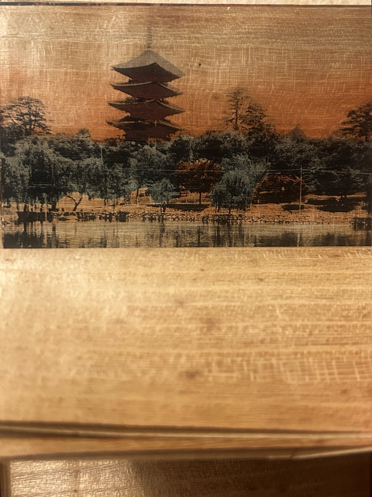 Japan Hand Painted Bird Stationary + Envelopes