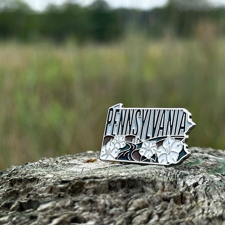 Pennsylvania Enamel Lapel Pin – Collectible State Souvenir