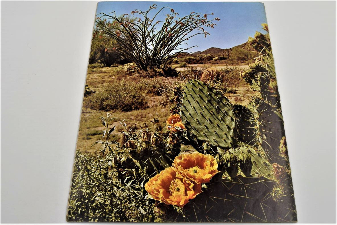 Vintage Arizona Highways Magazine (Lot of 8 Issues) Year Circulated (1967)