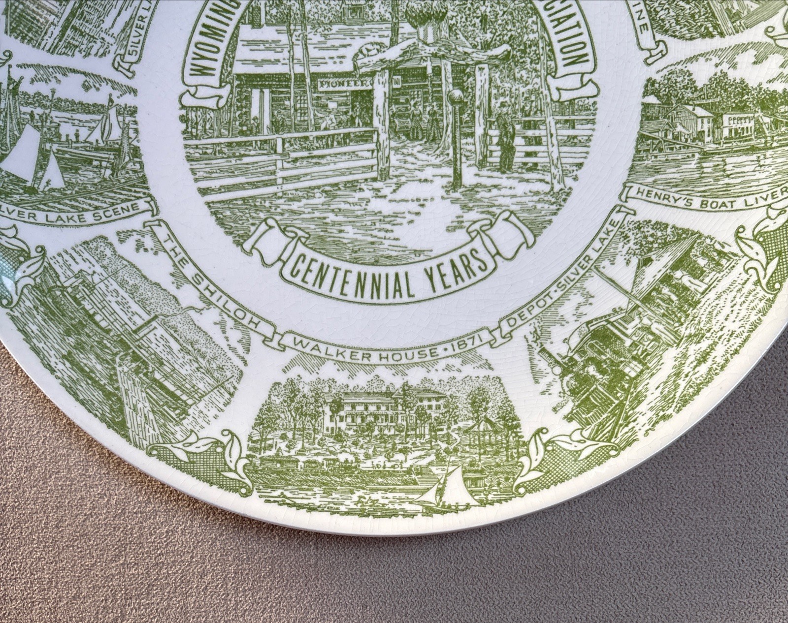 VTG~Wyoming County NY Historical Pioneer Association Centennial Years Plate~10”