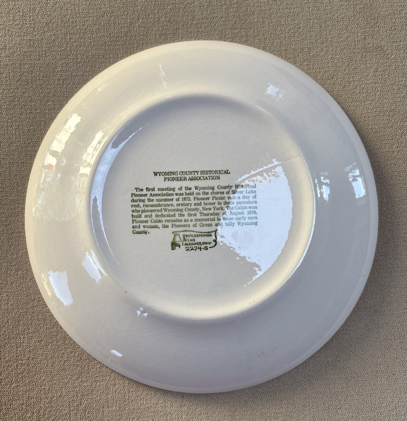 VTG~Wyoming County NY Historical Pioneer Association Centennial Years Plate~10”