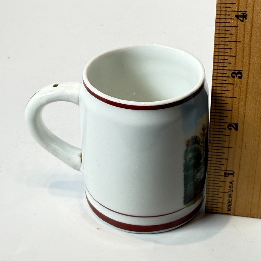 MT JEFFERSON – MAUCH CHUNK PA Pennsylvania Antique Souvenir TRINKET MUG