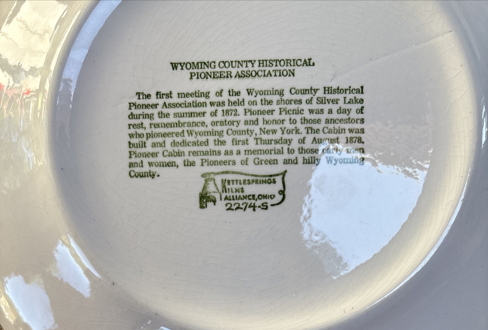 VTG~Wyoming County NY Historical Pioneer Association Centennial Years Plate~10”