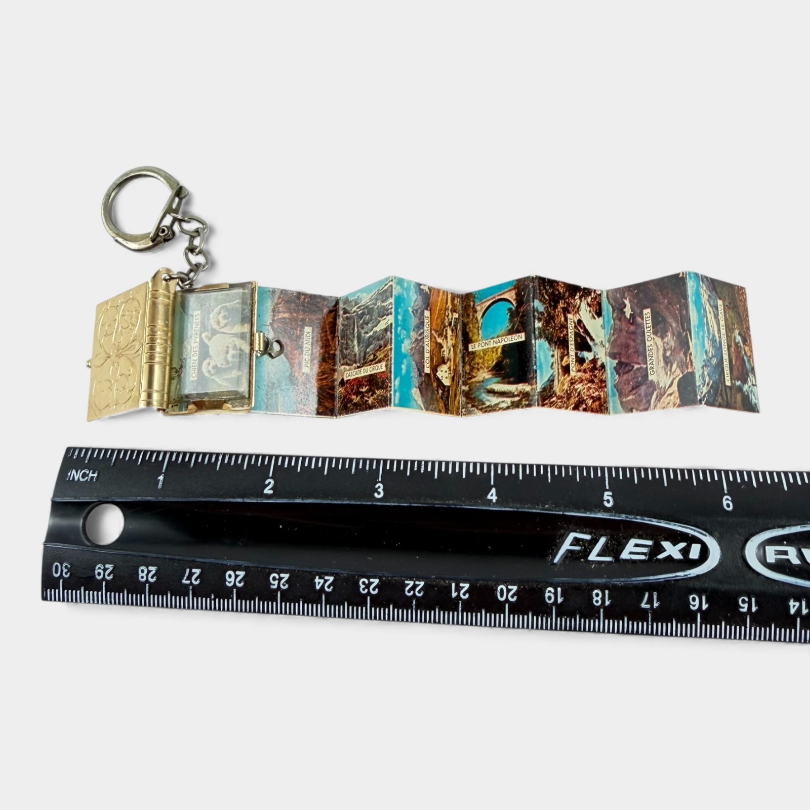 Vintage France Mini Photobook Keychain Chien des Pyrenees