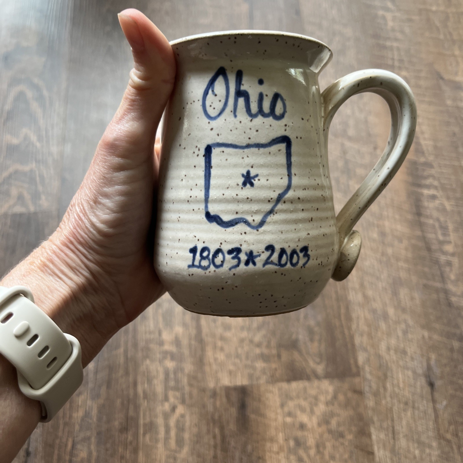 NEW OHIO Bicentennial 1803-2003 Sovenir Mug Cup