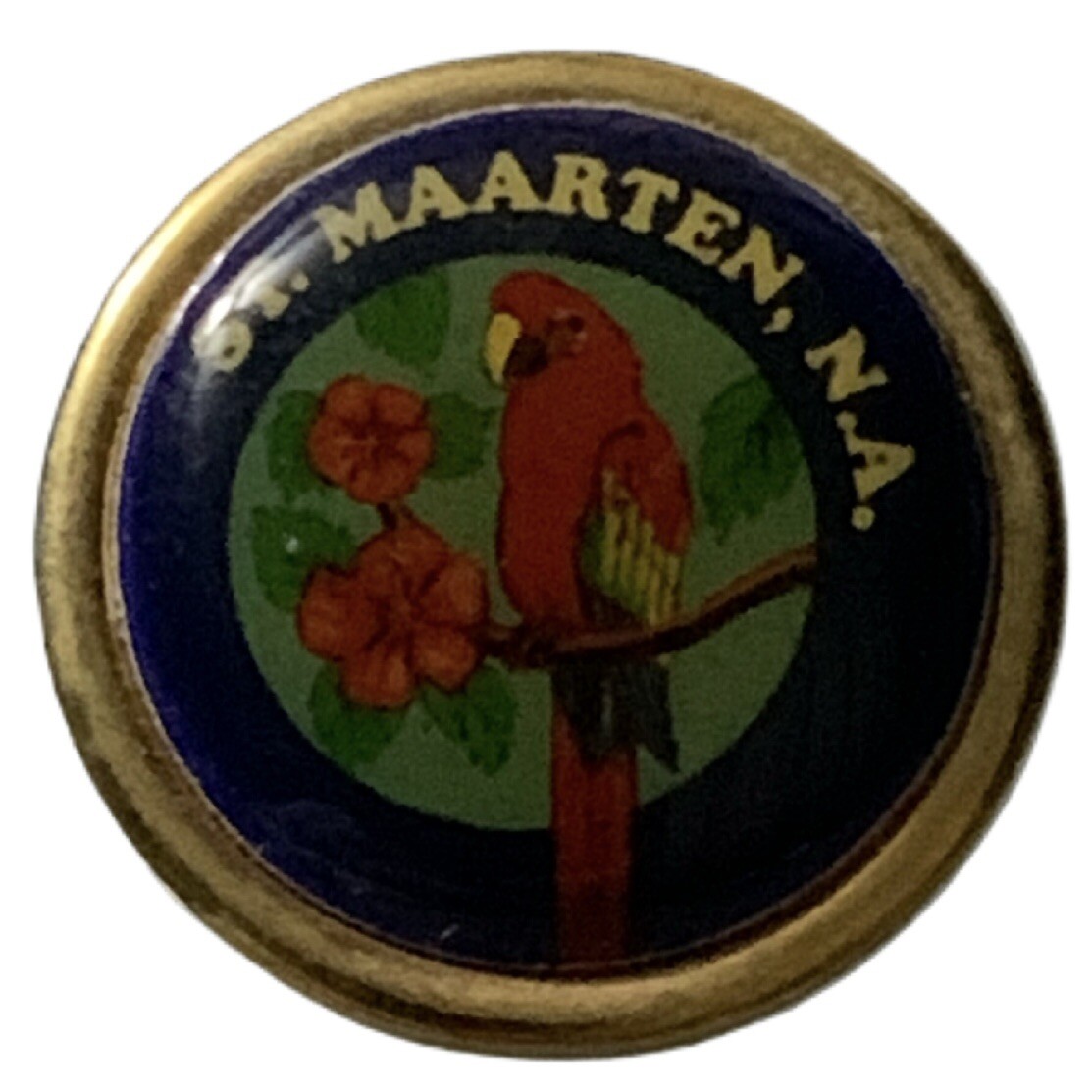 St. Maarten N.A. Parrot Travel Souvenir Pin