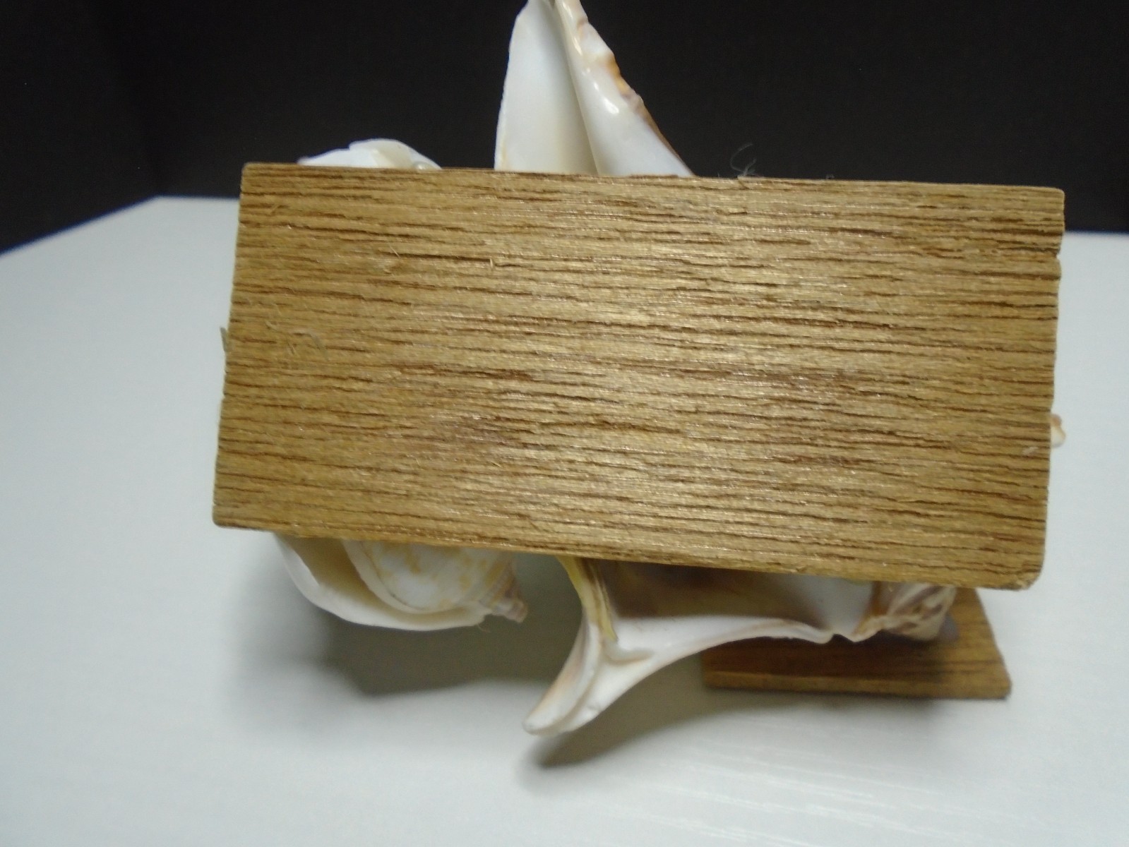 HANDMADE SEA SHELL FLORIDA 2″ X 3.5″ FIGURE UNBRANDED (SF277)