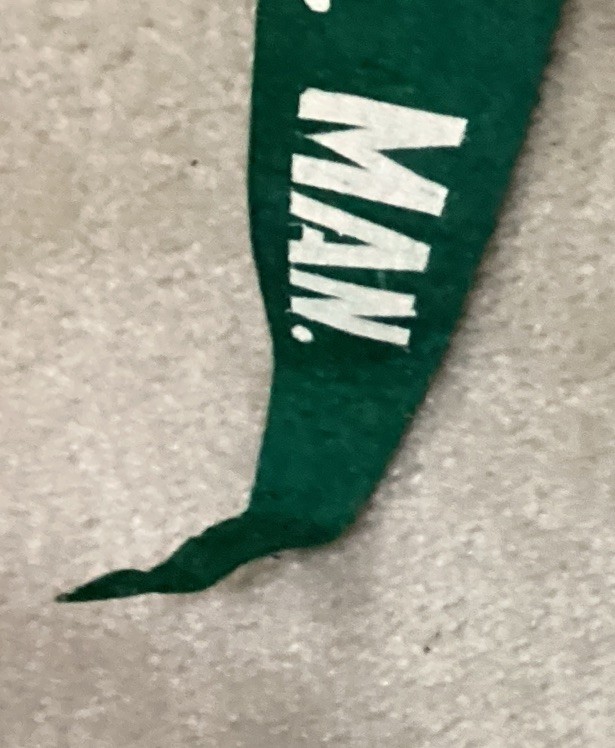 Winnipeg, Man., Canada Souvenir Felt Pennant Banner with Bear Graphic
