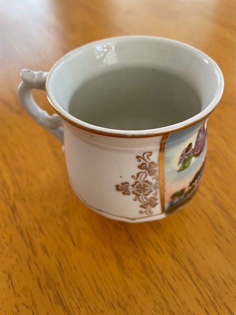 Austria Souvenir Mug Cup Frauenkirchen-Boldogasszony