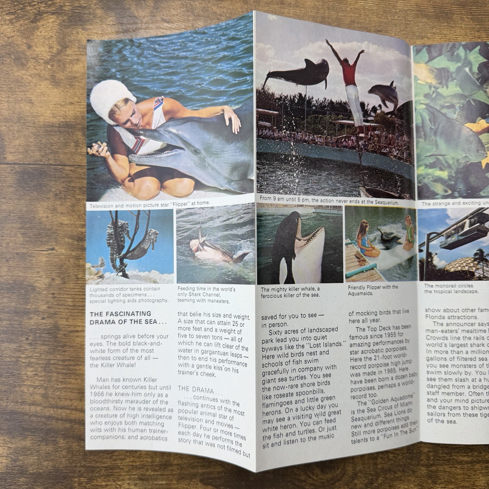1965 Flipper T Shirt Miami Seaquarium Brochure Souvenir MGM Rare Vintage Lot