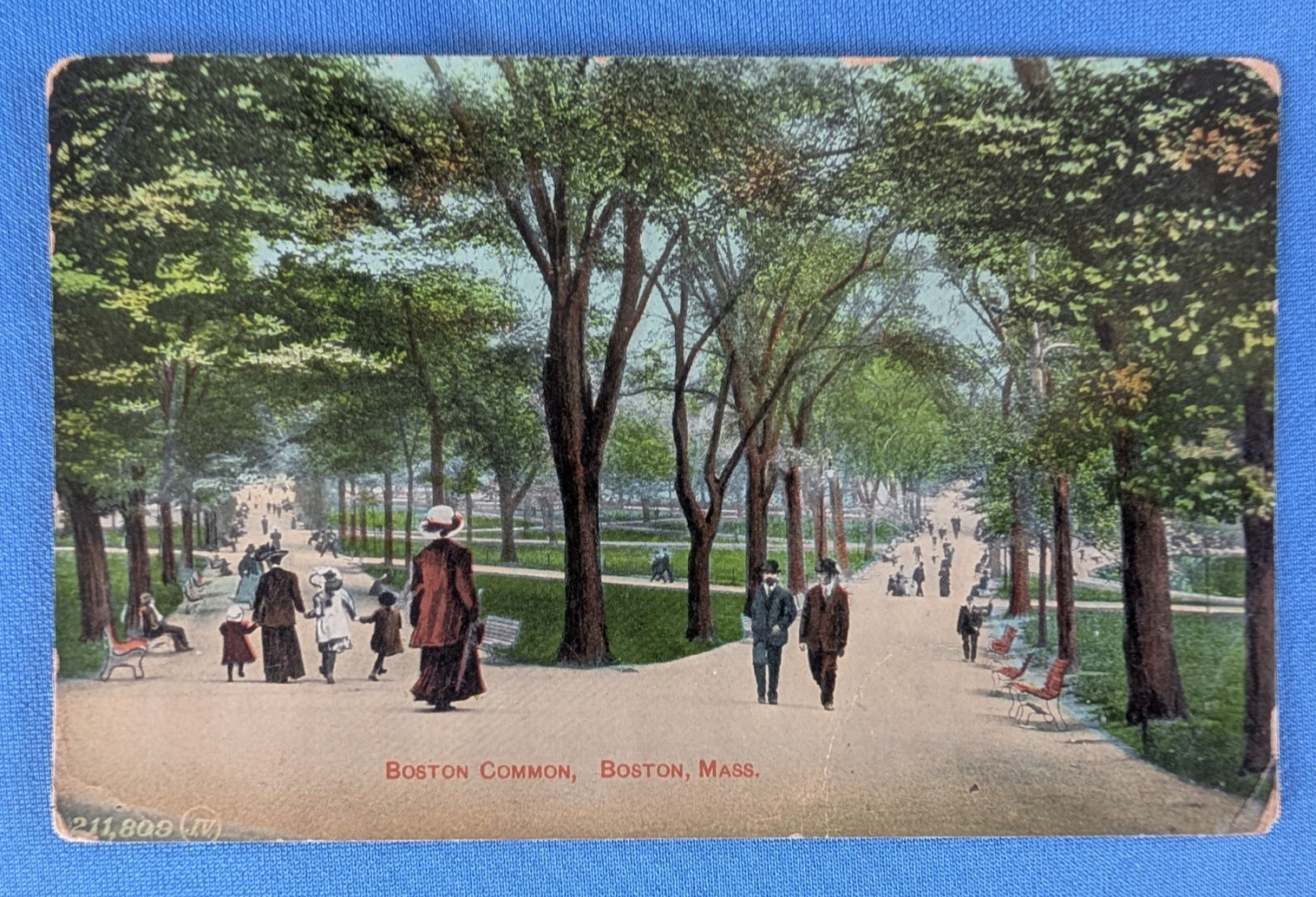 1905 postcard BOSTON COMMON Mass. people walking through park